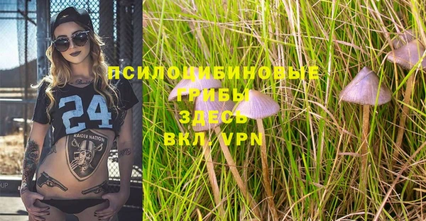ALPHA-PVP Абдулино